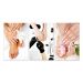 Kit 3 Quadros Decorativos Manicure Salão de Beleza Placa Mdf
