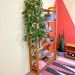 Estante 6 Prateleiras de Madeira Pinus Linea Ample Nozes