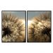 Kit com 2 Quadros Decorativos 60x40 cm Floral com Moldura Caixa Preta com 3 centimetros de Profundidade, na posição Vertical ideal para ambiente de Sala, Quarto e Hall.