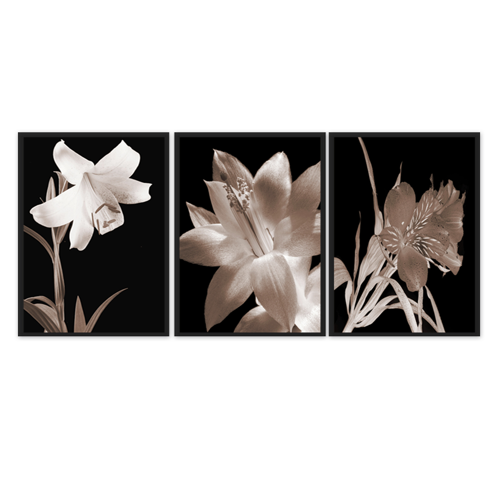Kit com 3 Quadros Decorativos 70x50 cm Floral Romantico com Moldura Caixa Preta de trers centimetros de Profundidade, na posição Vertical ideal para ambiente de Sala, Quarto e Hall