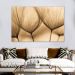 Quadro Decorativo Floral Contemporâneo Fotografico, Tela em Canvas na Horizontal, ideal para ambiente de Sala, Quarto e Hall (100x70 cm)