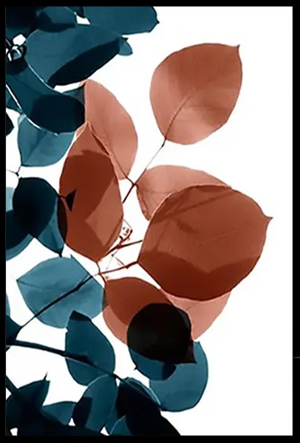Quadro Decorativo Floral Contemporaneo Raio X com Moldura Caixa, na posição Horizontal, ideal para ambiente de Sala, Quarto e Hall