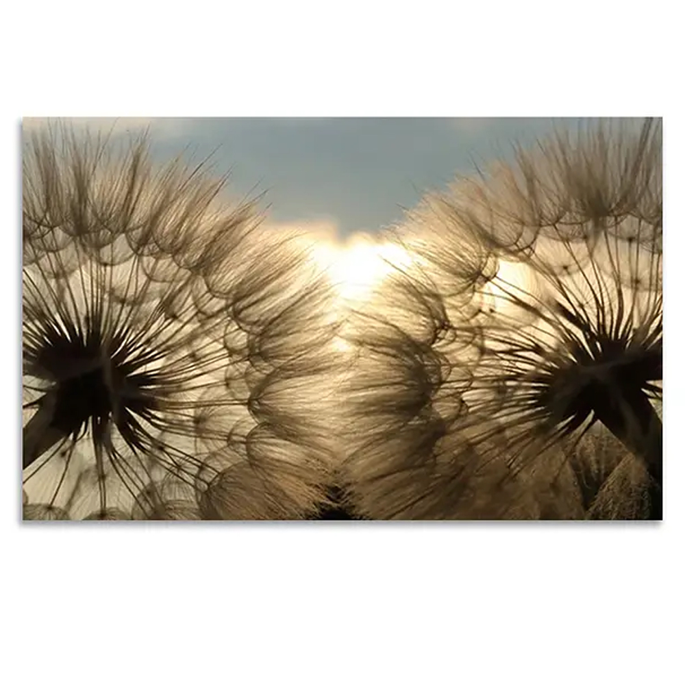 Quadro Decorativo Floral Fotografico Dente de Leão, Tela em Canvas na Horizontal ideal para ambiente de Sala de estar, jantar, reuniões, Quarto e Hall de entrada