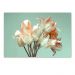 Quadro Decorativo Floral Fotografico Tulipa, Tela em Canvas na Horizontal ideal para ambiente de Sala de estar, jantar, reuniões, Quarto e Hall de entrada