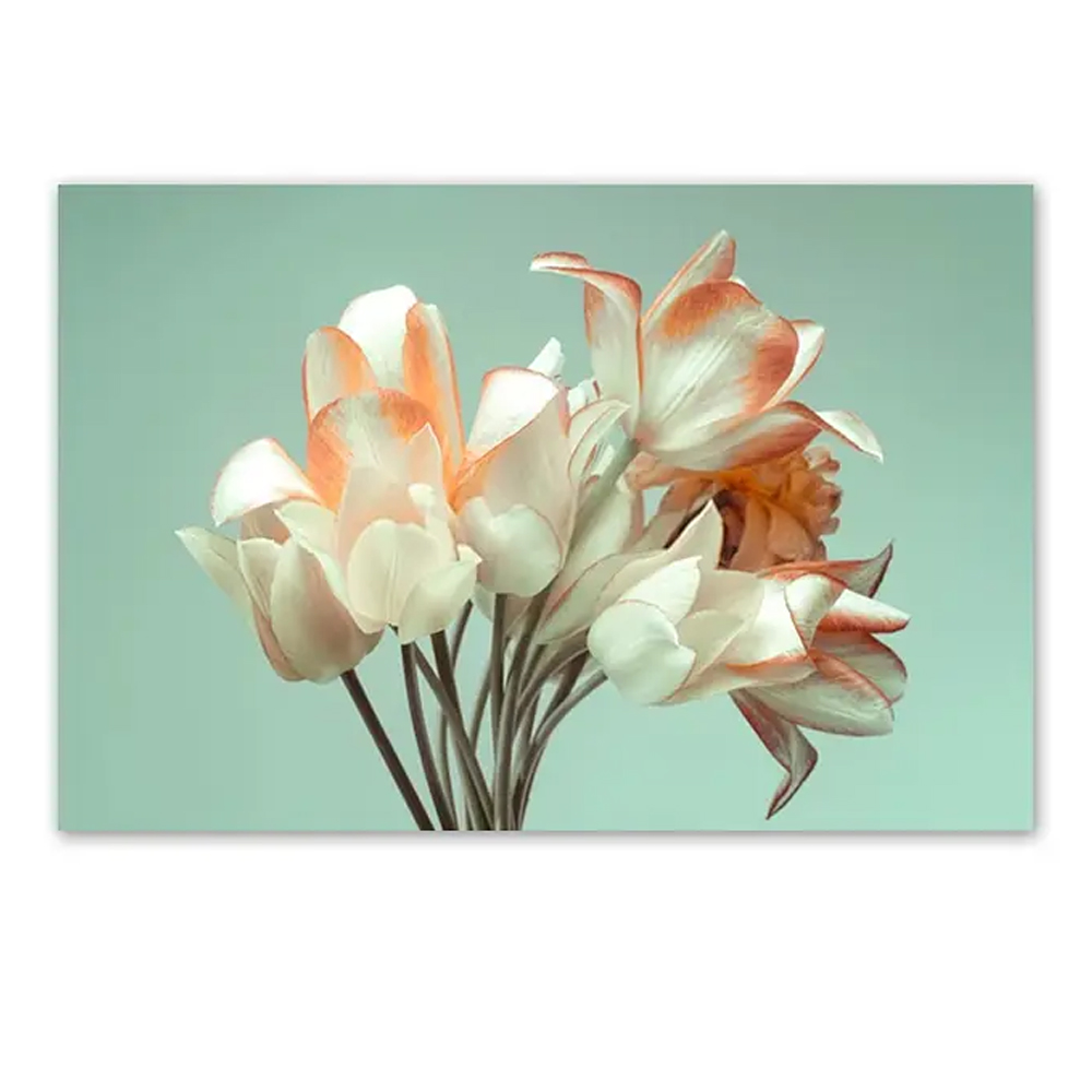 Quadro Decorativo Floral Fotografico Tulipa, Tela em Canvas na Horizontal ideal para ambiente de Sala de estar, jantar, reuniões, Quarto e Hall de entrada