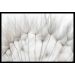 Quadro Decorativo Floral Fotografico com Moldura Caixa, na posição Horizontal, ideal para ambiente de Sala, Quarto e Hall