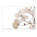 Quadro Decorativo Floral Fotografico, Tela em Canvas na Horizontal ideal para ambiente de Sala de estar, jantar, reuniões, Quarto e Hall de entrada