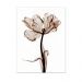 Quadro Decorativo Floral Raio-X, Tela em Canvas na Vertical ideal para ambiente de Sala de estar, jantar, reuniões, Quarto e Hall de entrada