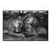 Quadro Decorativo Leão Natureza com Moldura Caixa de 3cm de Profundidade, na posição Horizontal, ideal para ambiente de Sala, Quarto e Hall de Entrada
