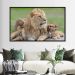Quadro Decorativo Leão Natureza com Moldura Caixa de 3cm de Profundidade, na posição Horizontal, ideal para ambiente de Sala, Quarto e Hall de Entrada