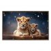 Quadro Decorativo Leão Natureza com Moldura Caixa de 3cm de Profundidade, na posição Horizontal, ideal para ambiente de Sala, Quarto e Hall de Entrada