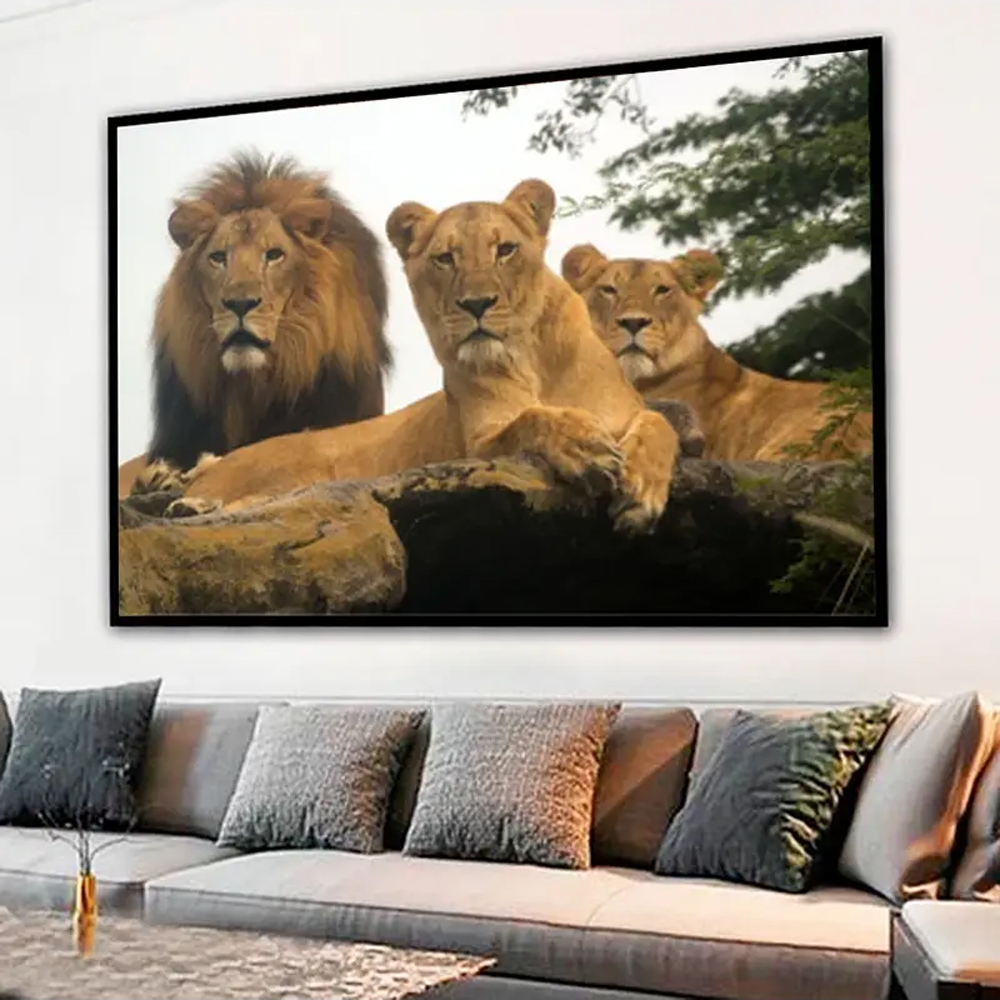 Quadro Decorativo Leão Natureza com Moldura Caixa de 3cm de Profundidade, na posição Horizontal, ideal para ambiente de Sala, Quarto e Hall de Entrada