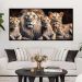 Quadro Decorativo Leão Natureza com Moldura Caixa de 3cm de Profundidade, na posição Horizontal, ideal para ambiente de Sala, Quarto e Hall de Entrada