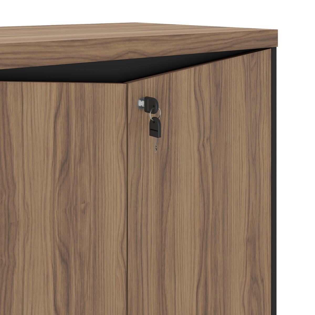 Armário com 2 Portas Montenegro Nogal Preto