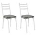 Kit 2 Cadeiras para Cozinha Tubular D-13 Nara de Aço Branco/Platina