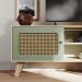Rack para TV Até 55 Polegadas Erice com 2 Porta e Pés - Carvalho / Menta