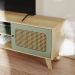 Rack para TV Até 55 Polegadas Erice com 2 Porta e Pés - Carvalho / Menta