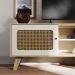 Rack para TV Até 55 Polegadas Erice com 2 Porta e Pés