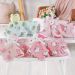 Manta com Naninha Coral Fleece Turma da Hello Kitty 75x100cm Keroppi