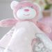 Naninha Flannel Estampado para Bebê Animais 25x25