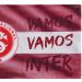 Toalha de Lavabo Lancheira Inter 27x47cm Vamos Vamos Inter