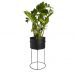 Suporte de Plantas com vaso Humaitá Cor:Preto