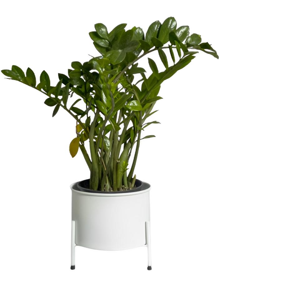 Suporte de Plantas com vaso Slim Humaitá Cor:Branco