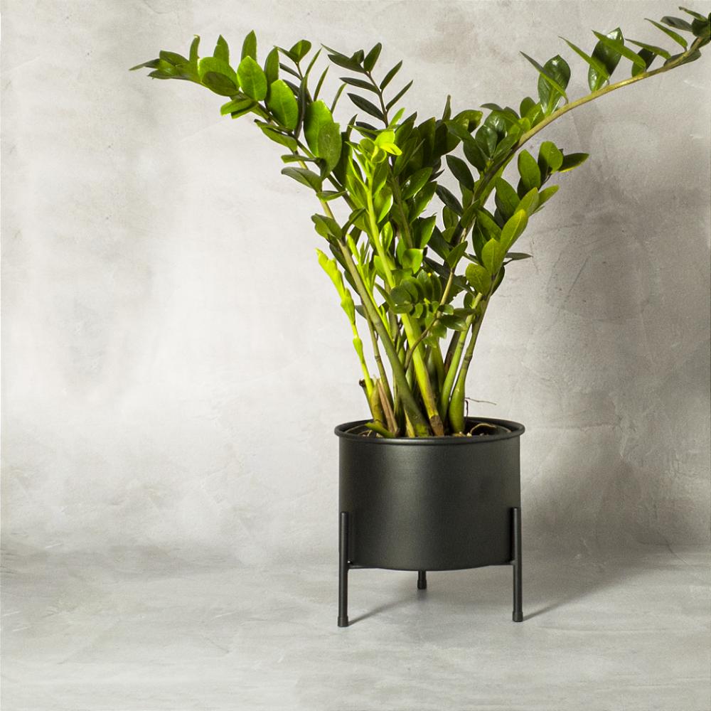 Suporte de Plantas com vaso Slim Humaitá Cor:Cinza