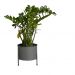 Suporte de Plantas com vaso Slim Humaitá Cor:Cinza
