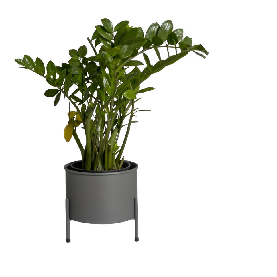 Suporte de Plantas com vaso Slim Humaitá Cor:Cinza
