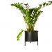 Suporte de Plantas com vaso Slim Humaitá Cor:Preto