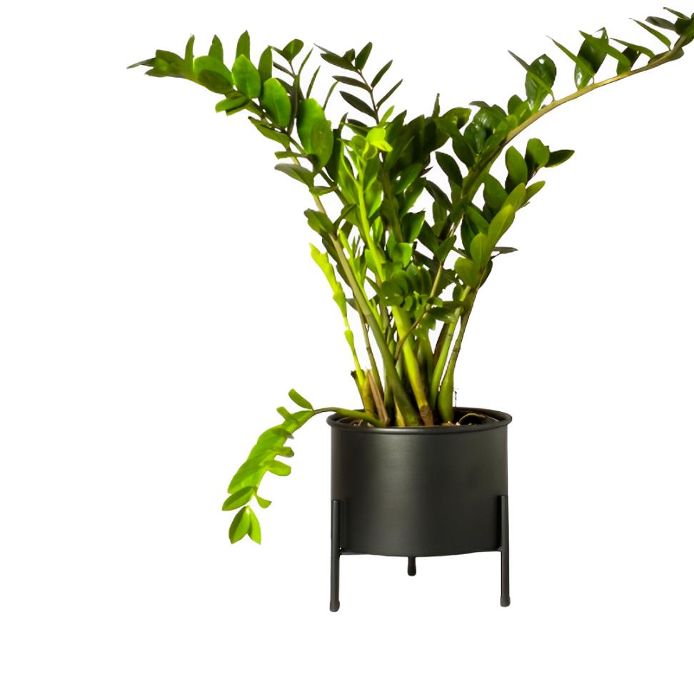 Suporte de Plantas com vaso Slim Humaitá Cor:Preto