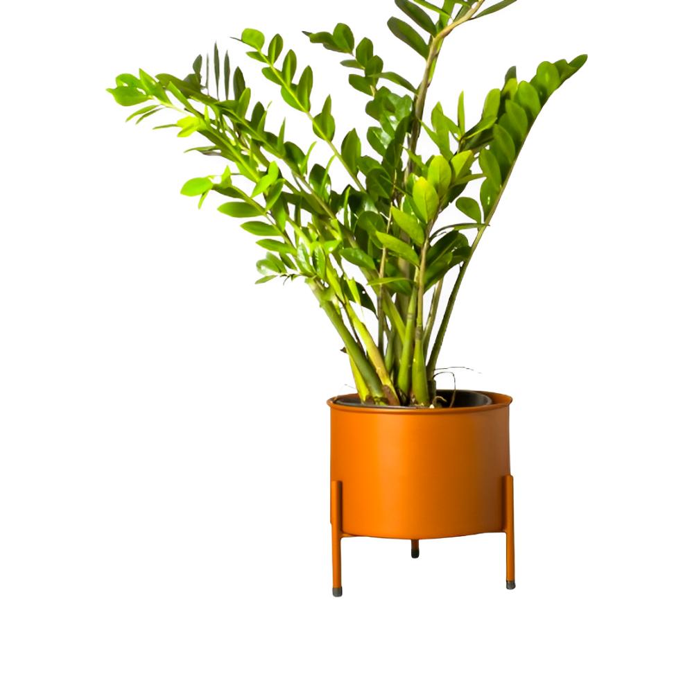 Suporte de Plantas com vaso Slim Humaitá Cor:Terra Cota