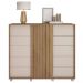 Cômoda Sapateira 2 Portas 5 Gavetas  Marrom Pegasus Caemmun
