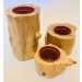 Vaso para Suculentas e Cactos