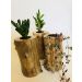 Vaso para Suculentas e Cactos