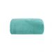 Cobertor Microfibra Liso 180g Casal 220x180 Verde Petróleo Camesa