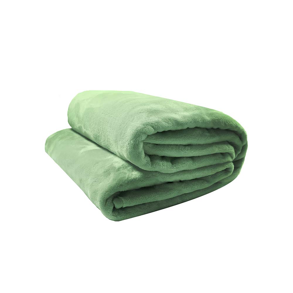 Cobertor Velour De Microfibra Neo 300g Queen Verde Camesa
