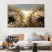 Quadro Decorativo Floral Fotografico Dente de Leão, Tela em Canvas na Horizontal ideal para ambiente de Sala de estar, jantar, reuniões, Quarto e Hall de entrada