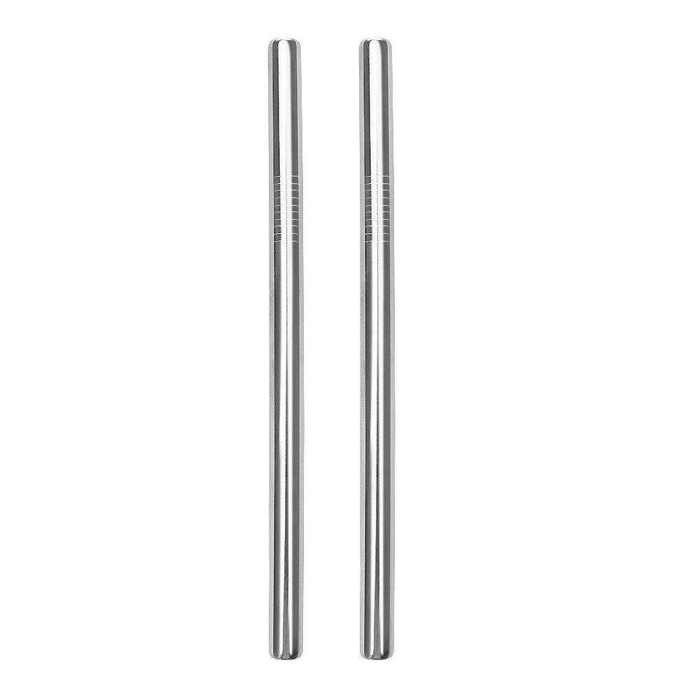 Canudo de Inox Reutilizável com 2 Unidades