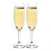 Jogo 2 Taças Champagne Espumante de Cristal 220ml - Conjunto Taças Titânio - Gastro - Luxo 