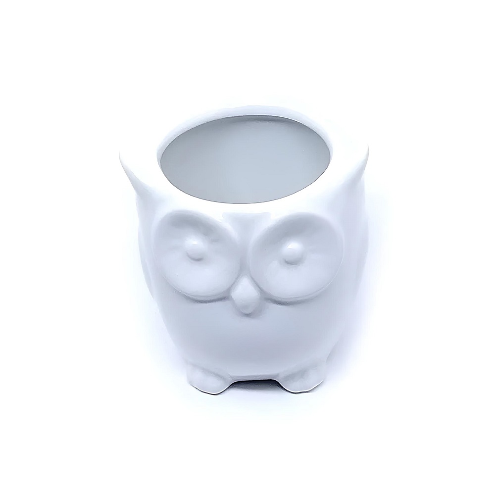Vasinho Cachepot de Cerâmica Modelo Coruja para Decoração 