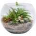 Vaso Aquario Redondo Gigante 9,8 L Decoração em Vidro  