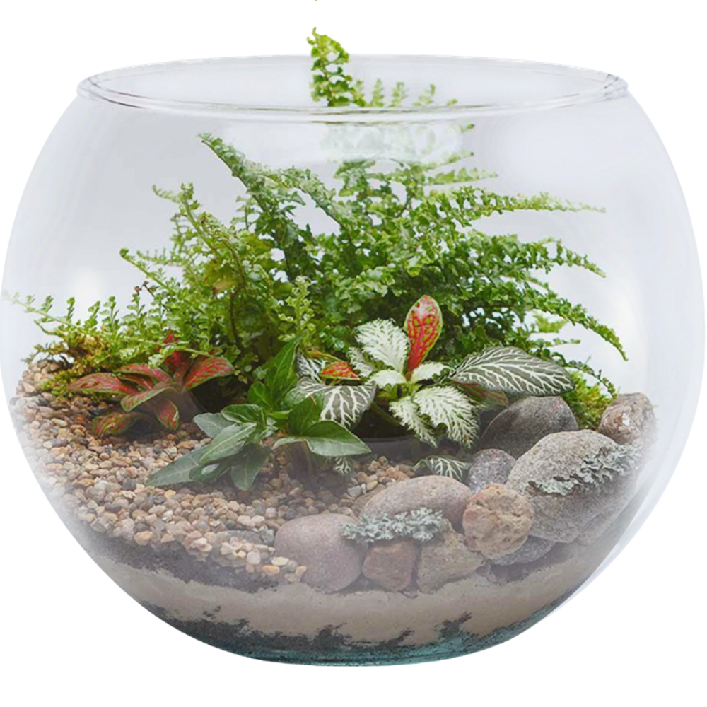 Vaso Aquario Redondo Gigante 9,8 L Decoração em Vidro  