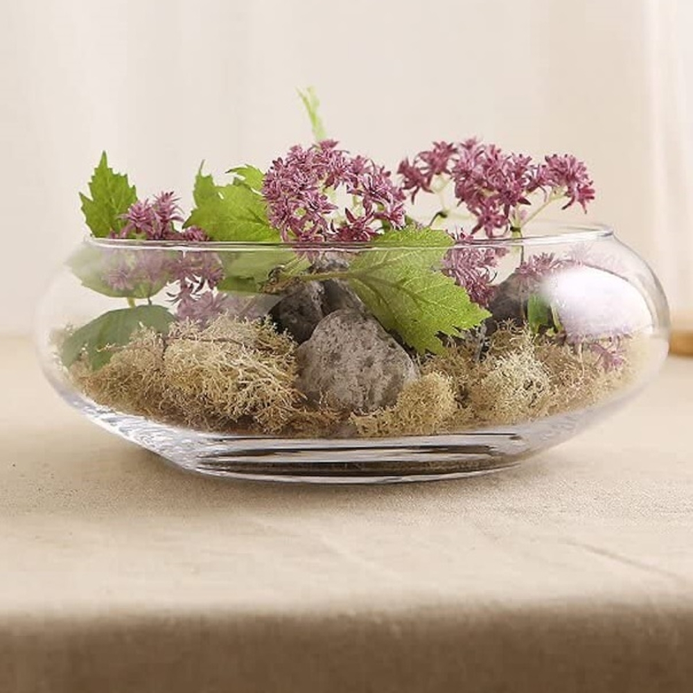 Vaso Mini Terrário de Vidro para Suculentas 9x15x18cm 