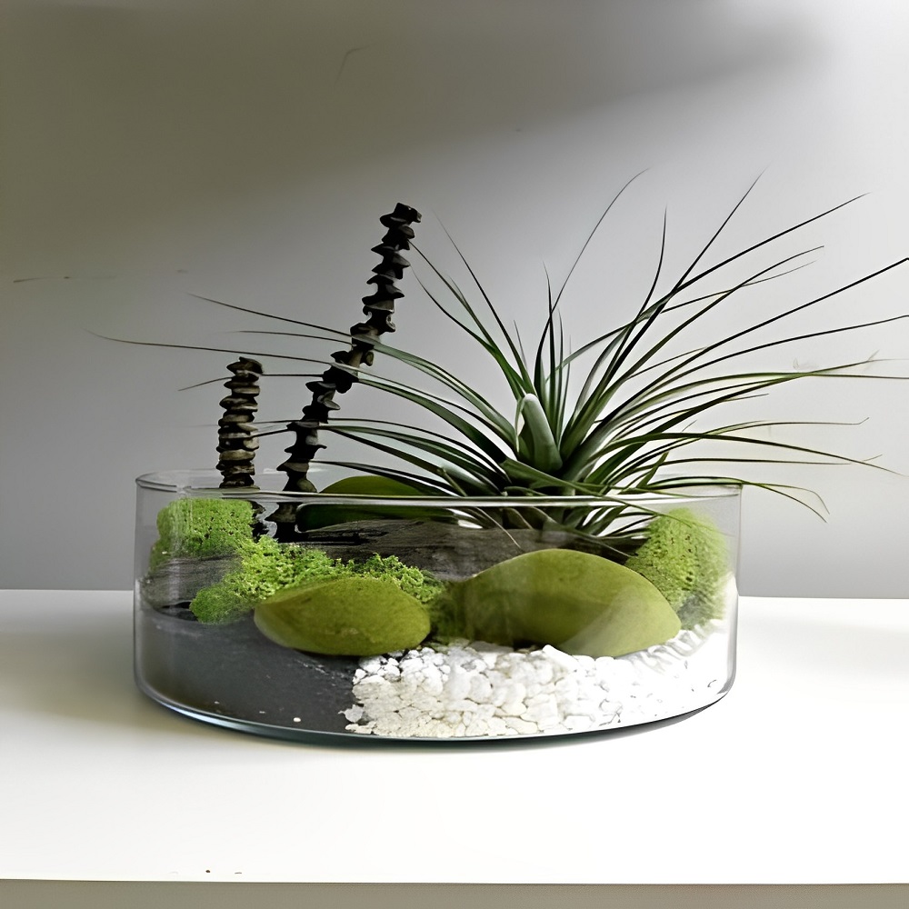 Vaso Redondo Floreira Terrario Cilindro em Vidro Suculentas, Arranjos 24x10cm 