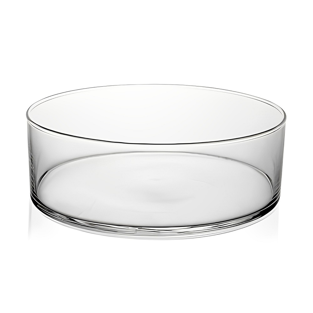 Vaso Redondo Floreira Terrario Cilindro em Vidro Suculentas, Arranjos 24x10cm 