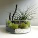 Vaso Redondo Floreira Terrario Cilindro em Vidro Suculentas, Arranjos 24x20cm 