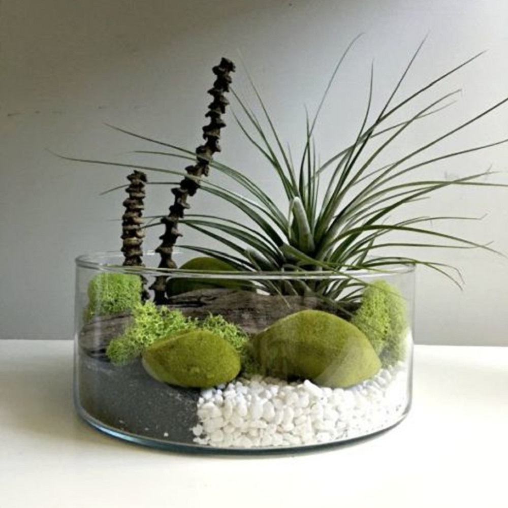 Vaso Redondo Floreira Terrario Cilindro em Vidro Suculentas, Arranjos 24x20cm 