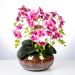 Vaso Terrário de Vidro Transparente - Flores, Plantas e Velas - 11AX19Cx22L 